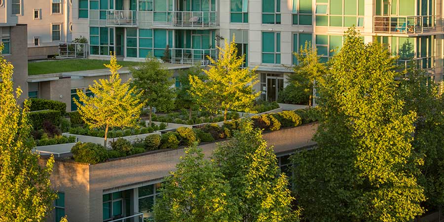 Rooftop Gardens: How Much Impact do Green Roofs Actually Have?