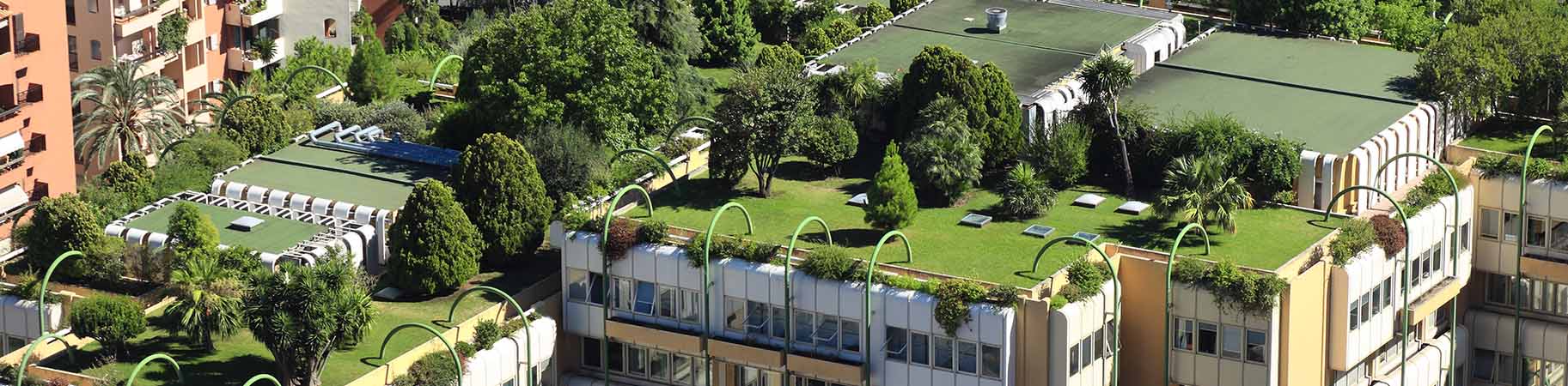 Green-roof-1825x450.jpg