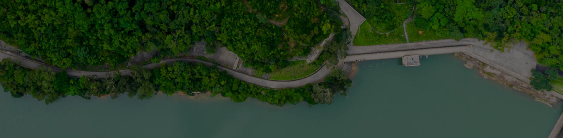 Top-Banner-55percent-Green-Concrete-2-1825x450.jpg